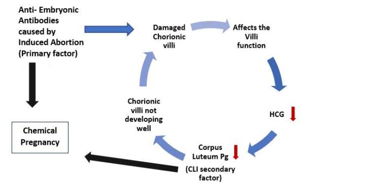 effective-treatment-for-chemical-pregnancy-antai-hospital